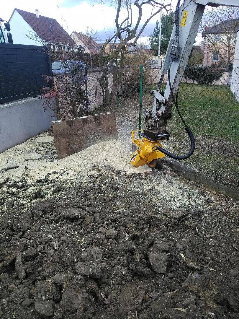 ENTRETIEN de vos espaces verts, TAILLE des arbres autour de Sundhoffen et aux environs de Colmar Kingersheim 4