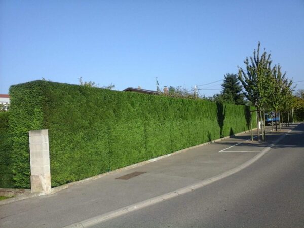 ENTRETIEN de vos espaces verts, TAILLE des arbres autour de Sundhoffen et aux environs de Colmar Sélestat 1