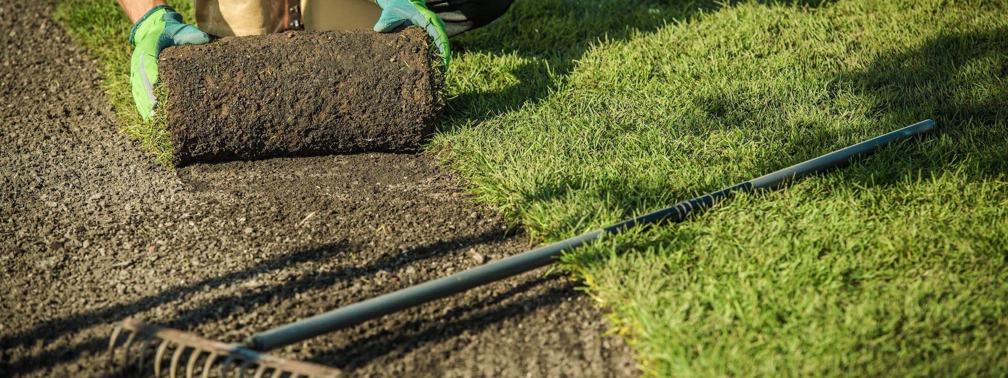 Quels sont les avantages d&#8217;un gazon de plaquage ?  Sélestat