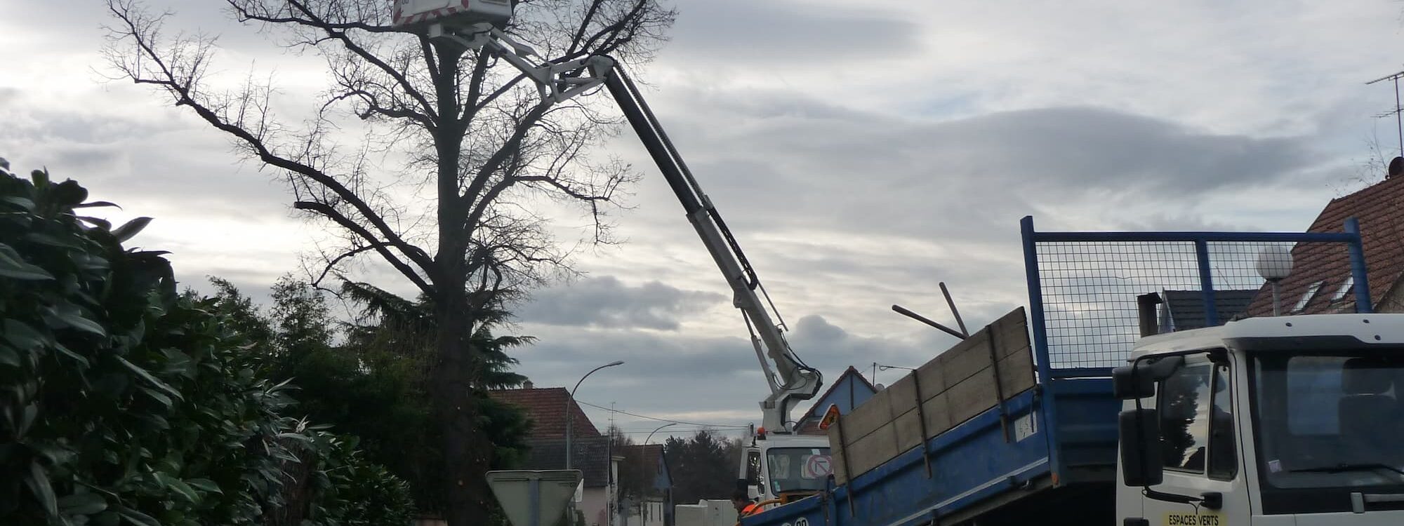 ENTRETIEN de vos espaces verts, TAILLE des arbres autour de Sundhoffen et aux environs de Colmar Riedisheim