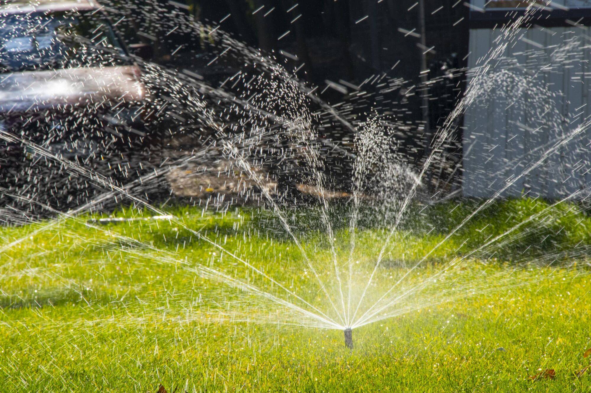 Quels sont les avantages d&#8217;un arrosage automatique pour votre jardin ? Mulhouse